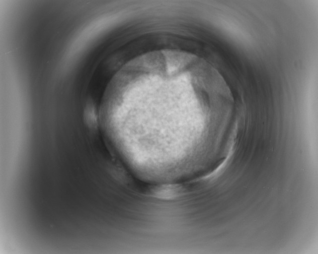 X0000103240191200809181551