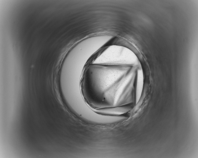 X0000103240193200809181551