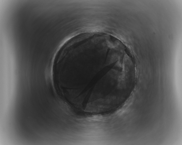 X0000103240196200809181551