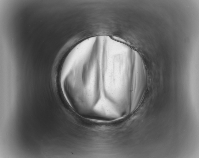 X0000103240197200809181551