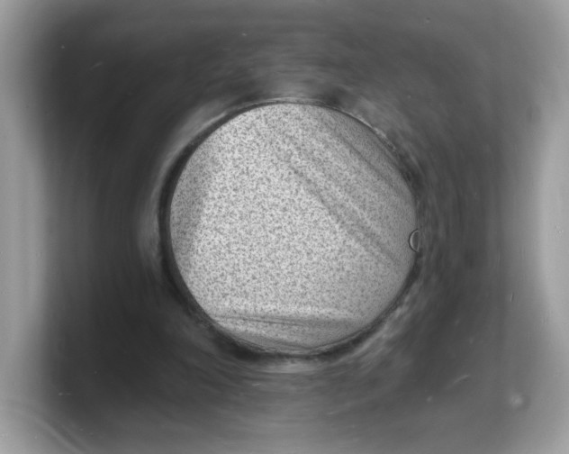 X0000103240198200809181551