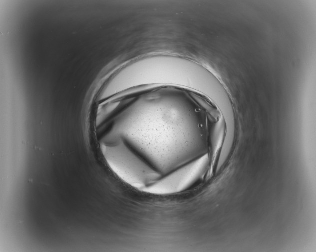 X0000103240199200809181551