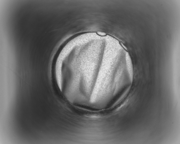 X0000103240200200809181551