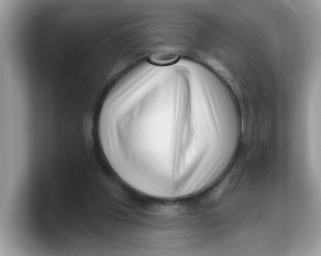 X0000103240201200809181551