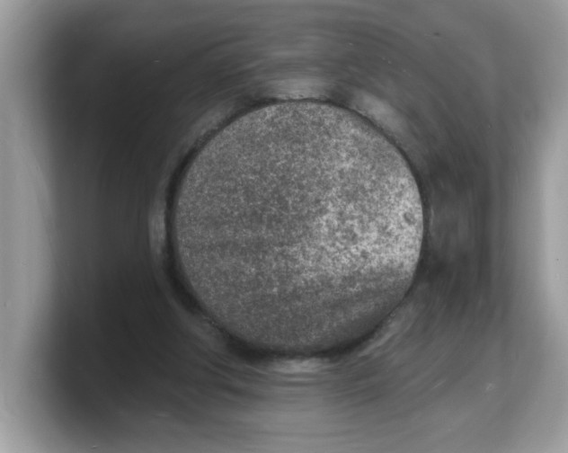 X0000103240202200809181551