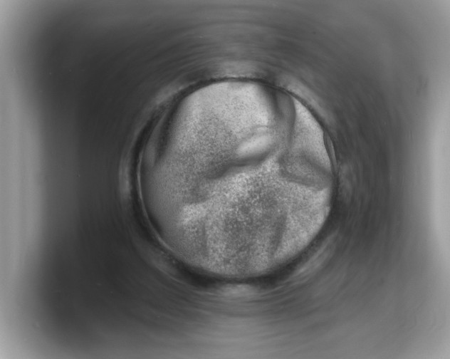 X0000103240203200809181551