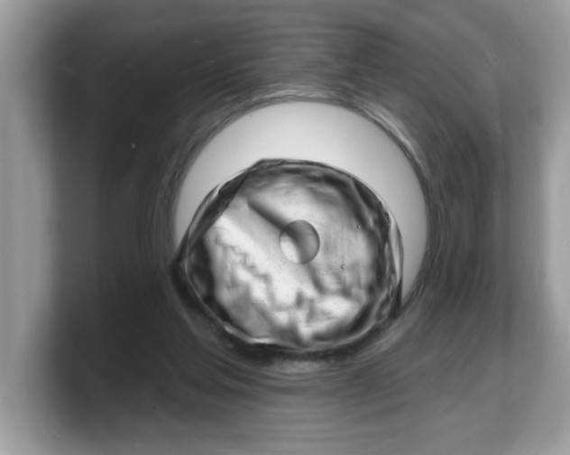 X0000103240205200809181550