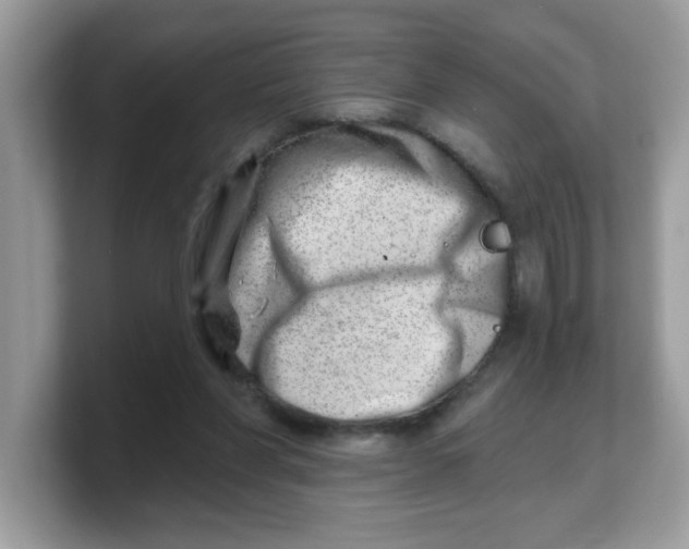 X0000103240206200809181550