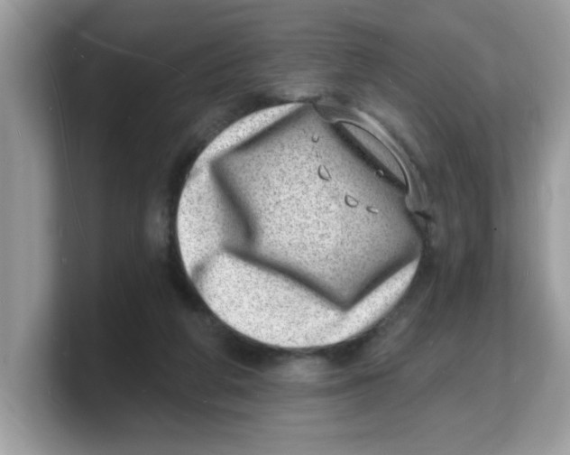 X0000103240210200809181550