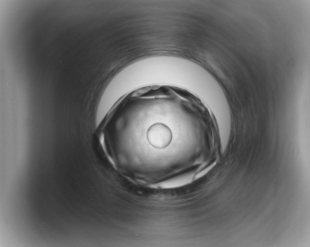 X0000103240211200809181550