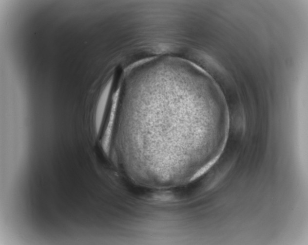 X0000103240214200809181550