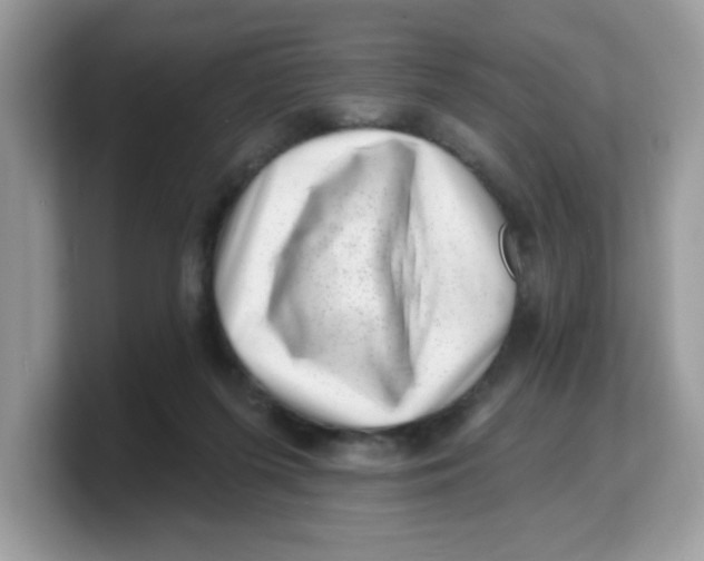 X0000103240215200809181550