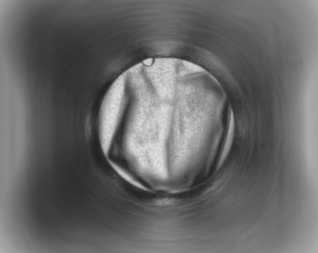 X0000103240216200809181550