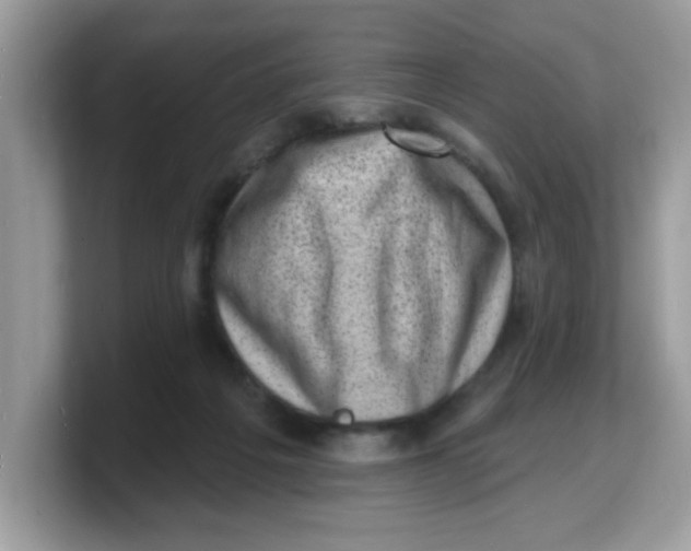 X0000103240217200809181550