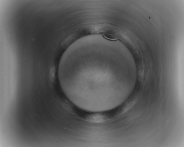 X0000103240219200809181550