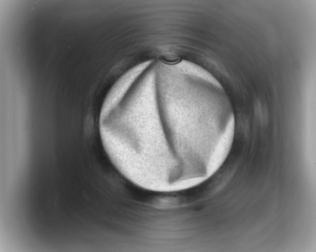 X0000103240220200809181550