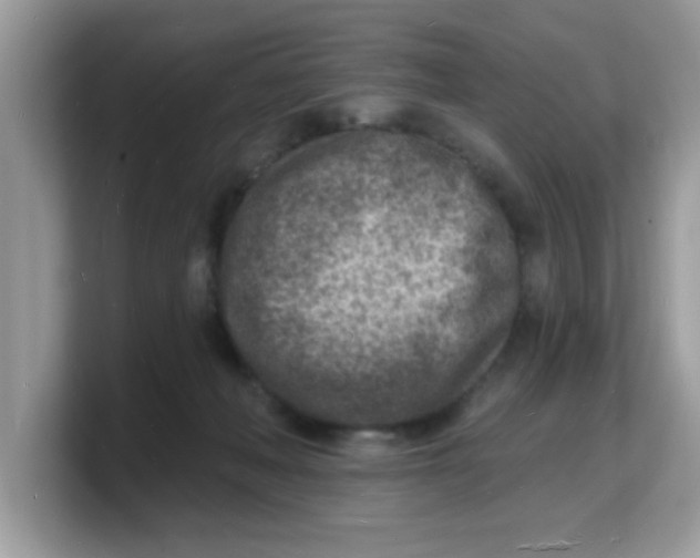 X0000103240222200809181550