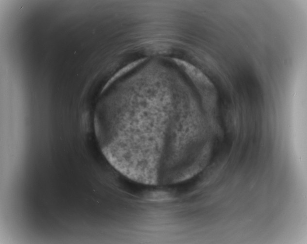 X0000103240224200809181550