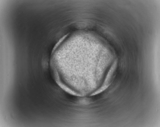 X0000103240226200809181550