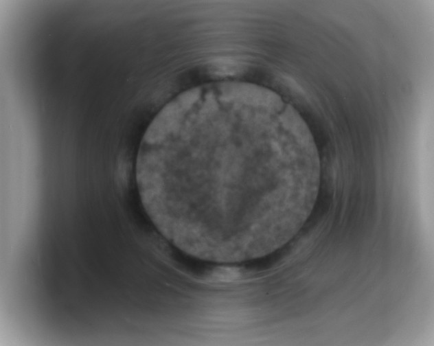 X0000103240227200809181550