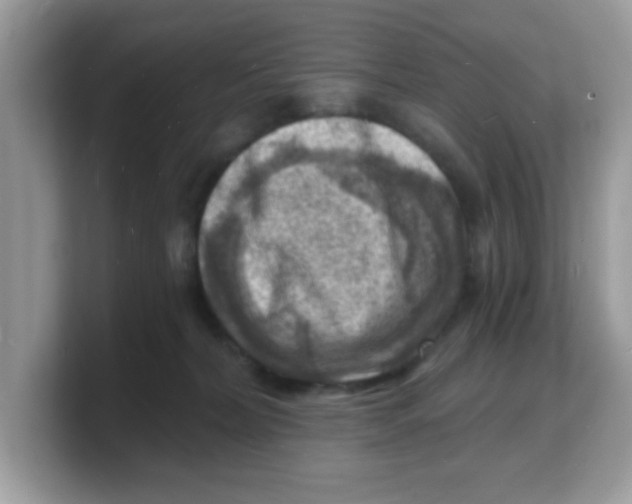 X0000103240228200809181550