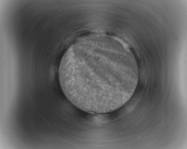 X0000103240229200809181550