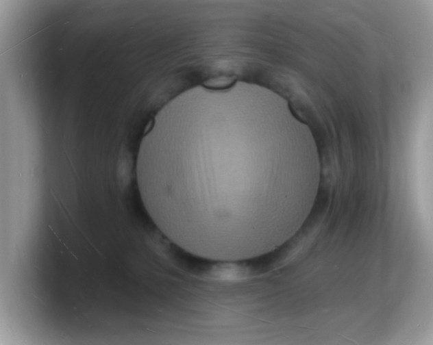 X0000103240231200809181550