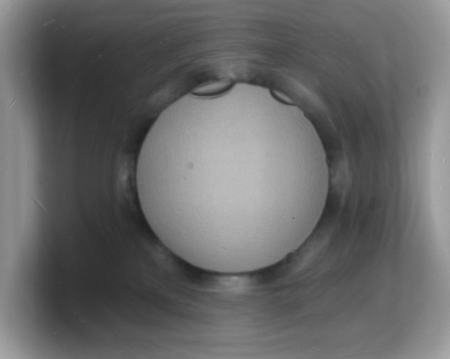 X0000103240233200809181550