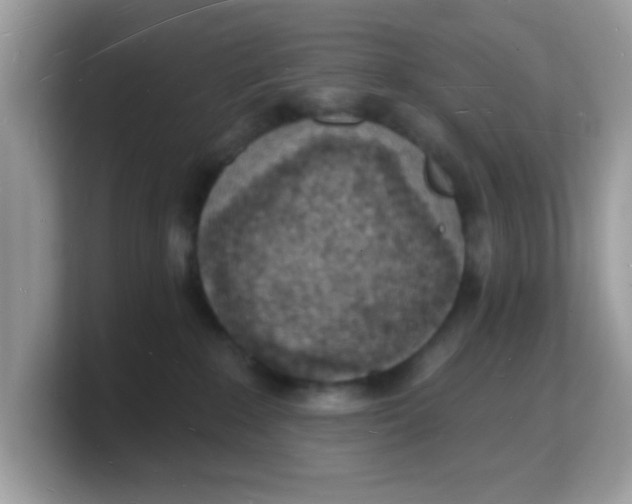 X0000103240235200809181550