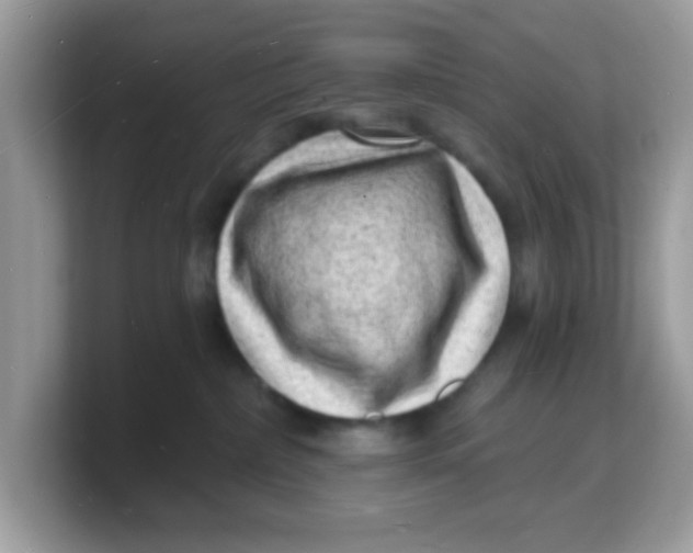 X0000103240236200809181550