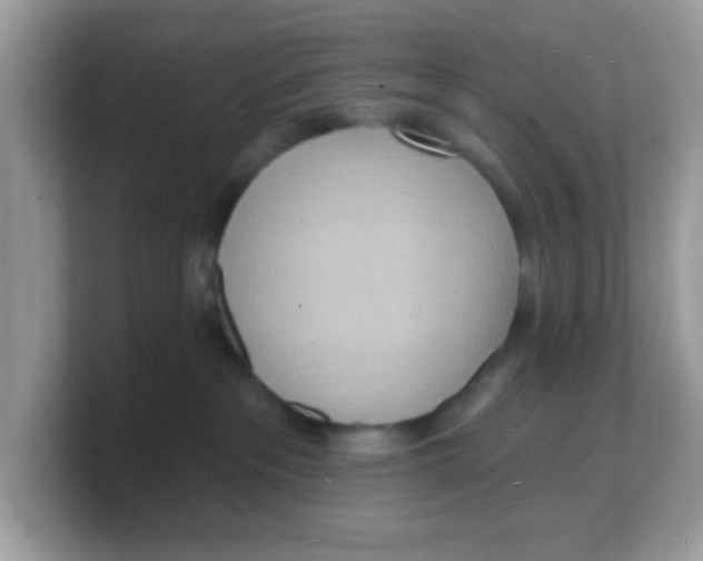 X0000103240237200809181550