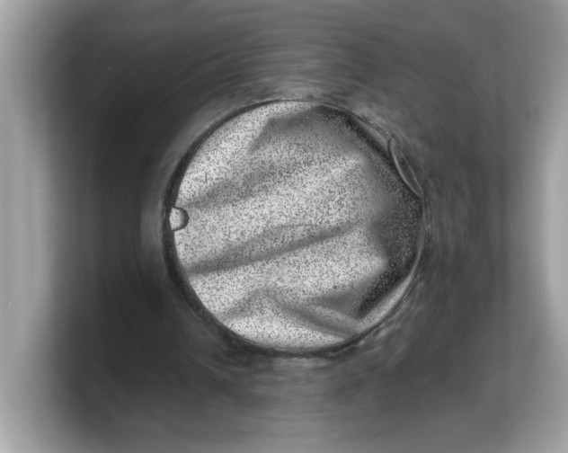 X0000103240242200809181549