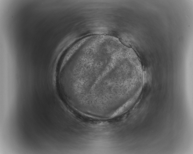 X0000103240243200809181549