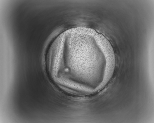 X0000103240245200809181549