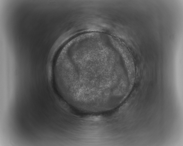 X0000103240247200809181549