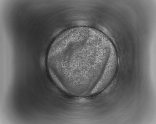 X0000103240249200809181550