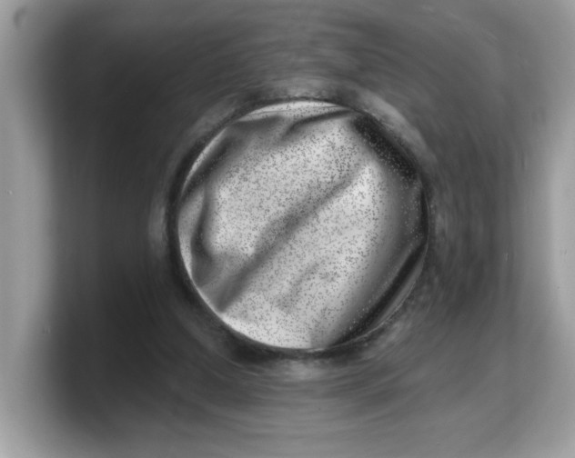 X0000103240250200809181550