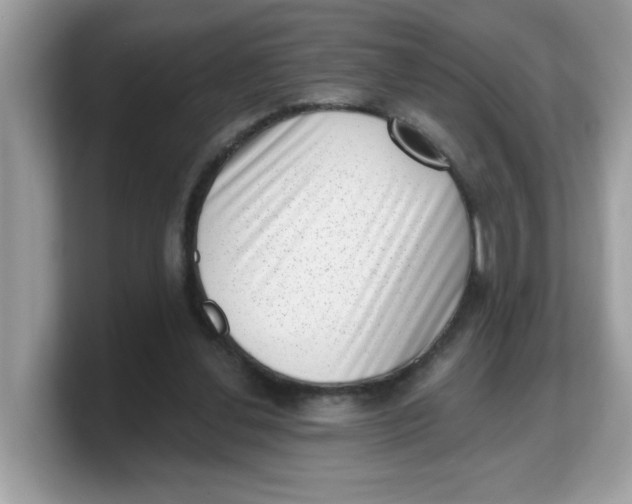 X0000103240252200809181550