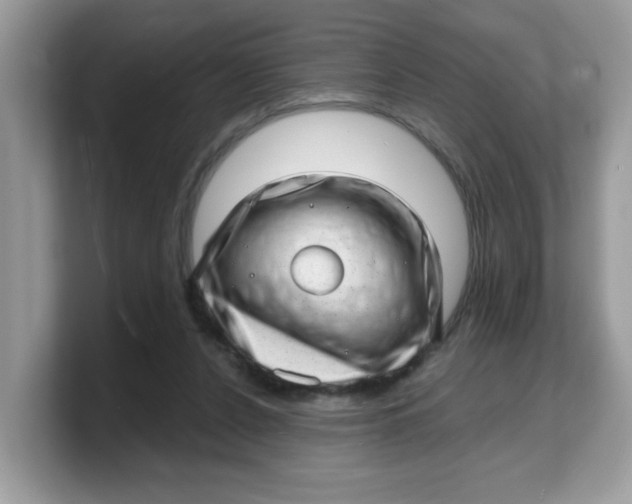 X0000103240256200809181550