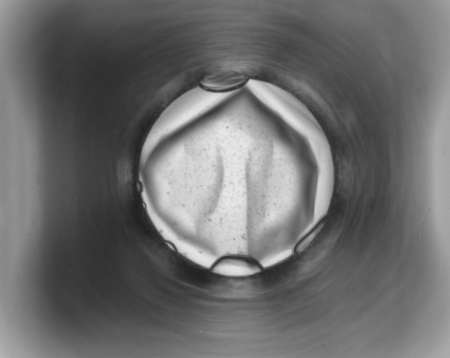 X0000103240260200809181550