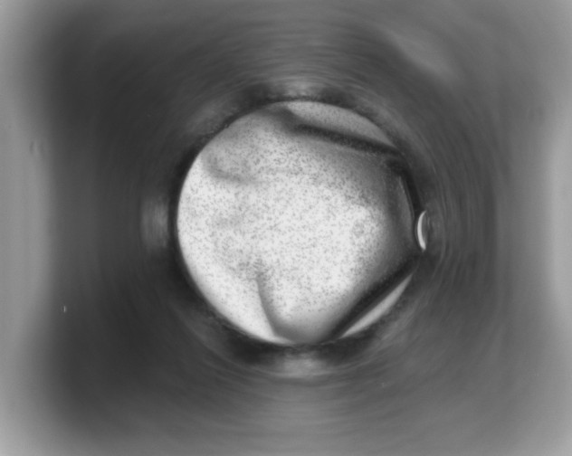 X0000103240262200809181550