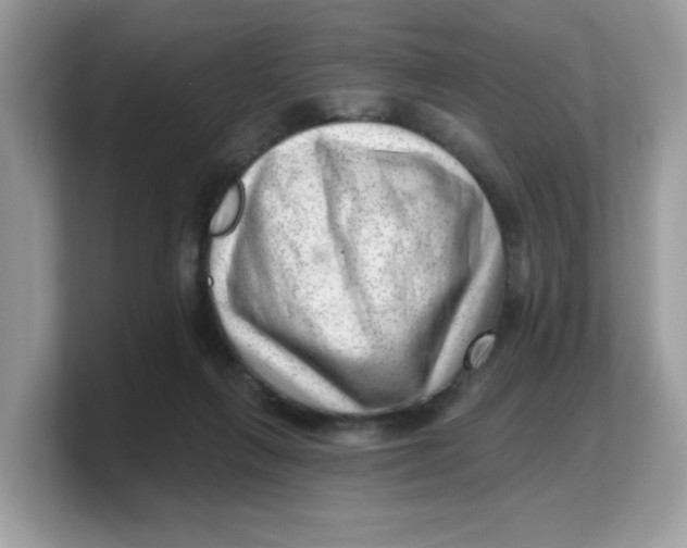 X0000103240263200809181550