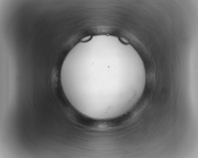 X0000103240264200809181550