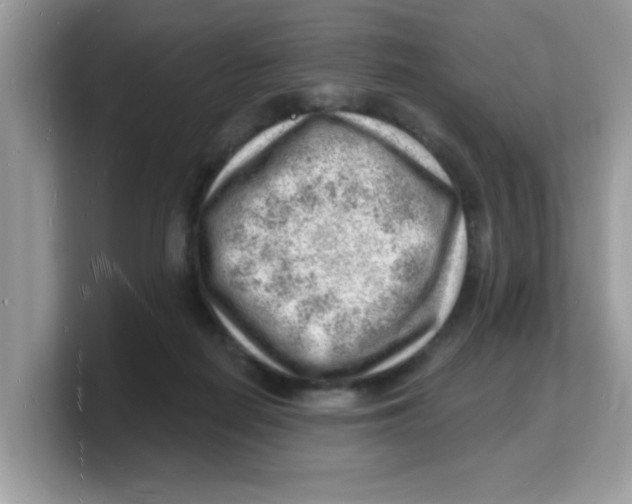 X0000103240266200809181550