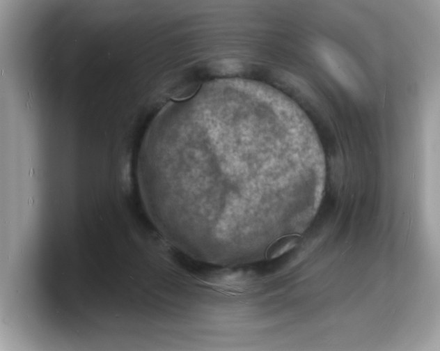 X0000103240267200809181550