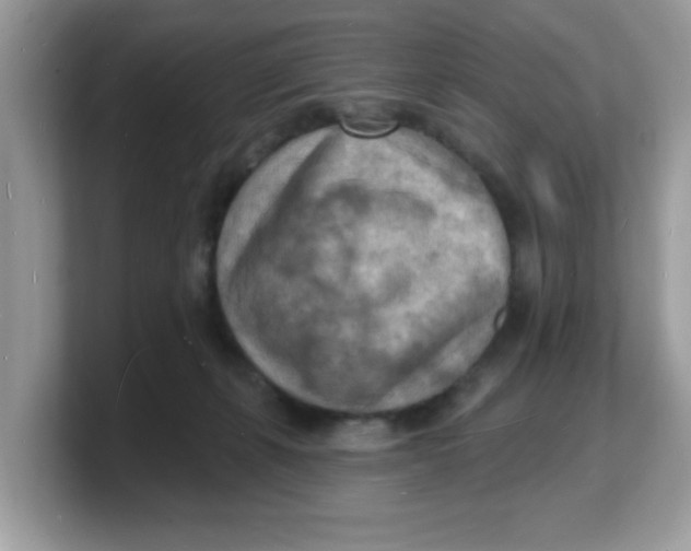 X0000103240271200809181550