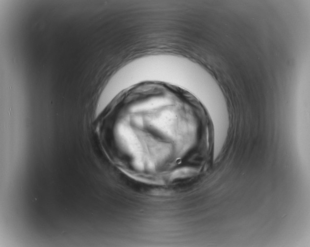 X0000103240272200809181550