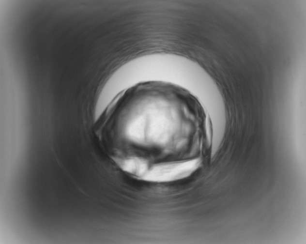 X0000103240276200809181550