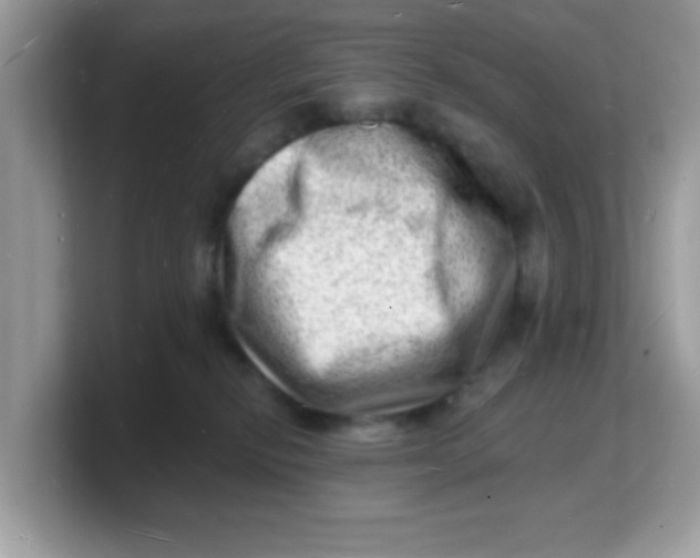 X0000103240278200809181550