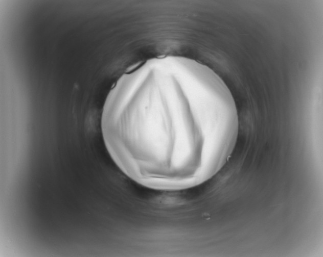 X0000103240280200809181550